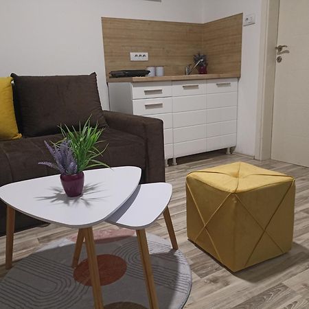 Vikendica Apartments Dunav Ms Celarevo Luaran gambar